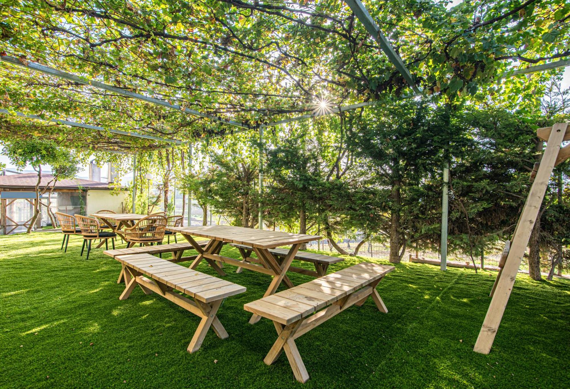 Masticha Apartment Oinofyta 外观 照片